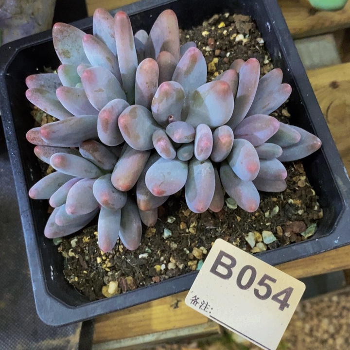 我要的东西不在身边