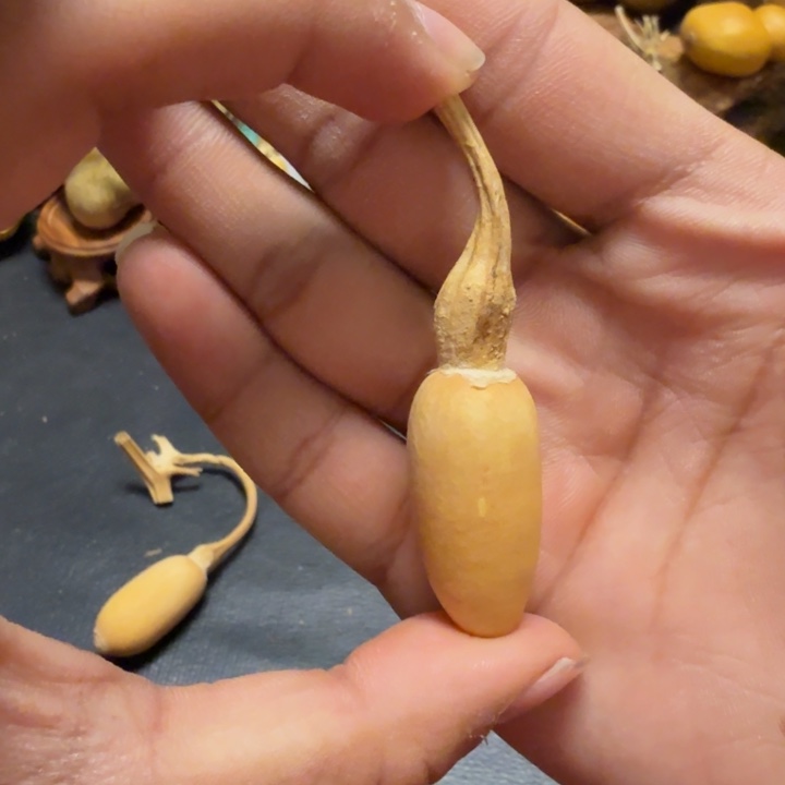 p***899…………………………………………