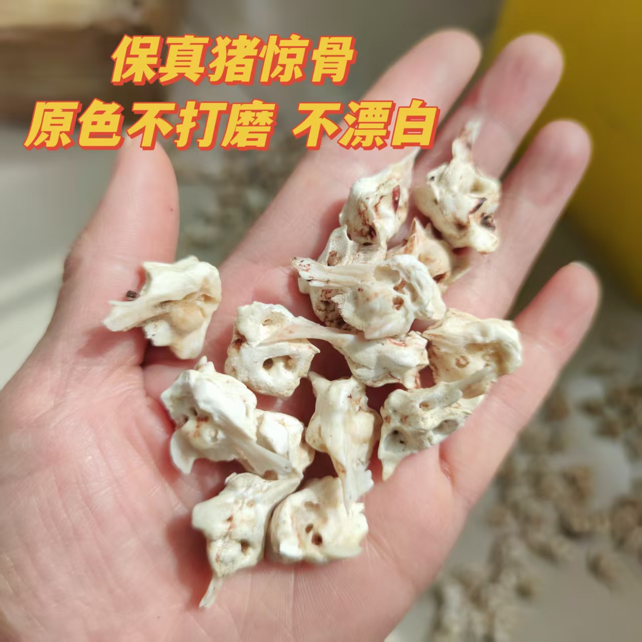 非金属皮质吊坠 儿童宝宝饰品吊坠配件天然生猪惊骨耳町骨未打磨