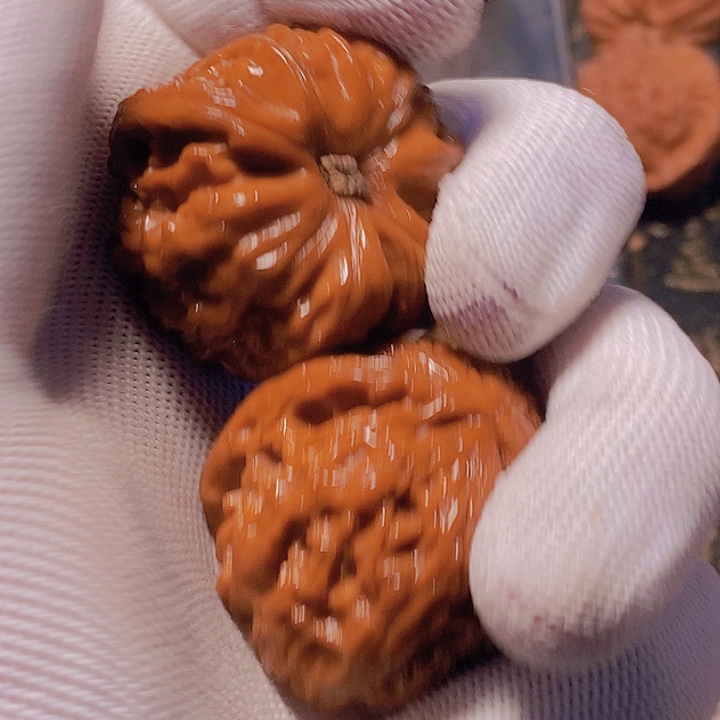 帅***文玩核桃吊坠角白