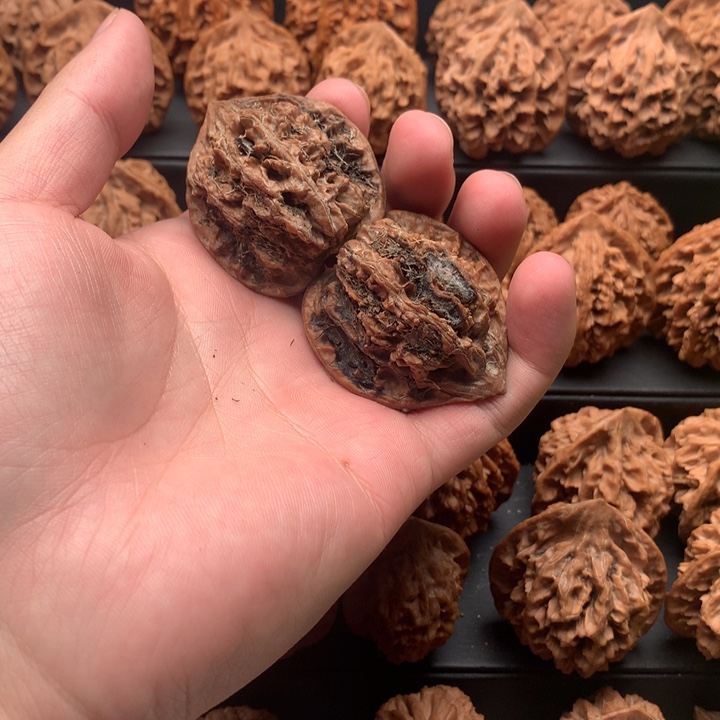 其他核桃韵秦岭秦公子