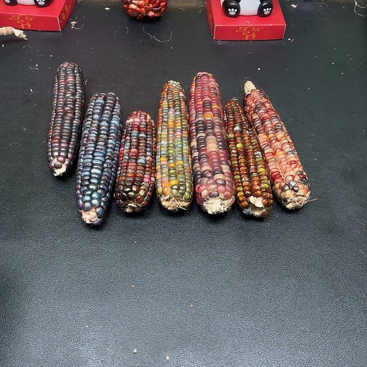 彤***^吊坠柏香籽/百香籽