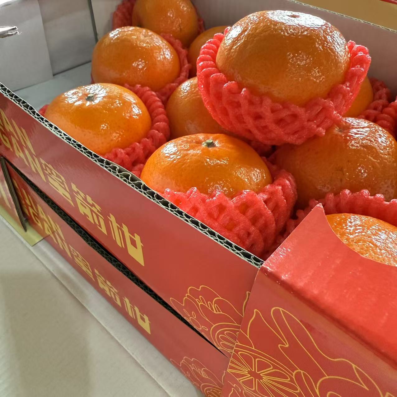 广西沃柑3公斤包邮到家