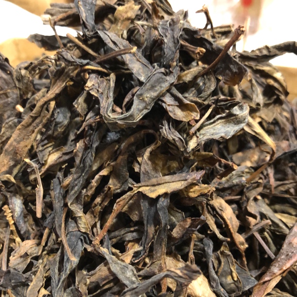 易武古树金飞叶老帕卡500克生茶