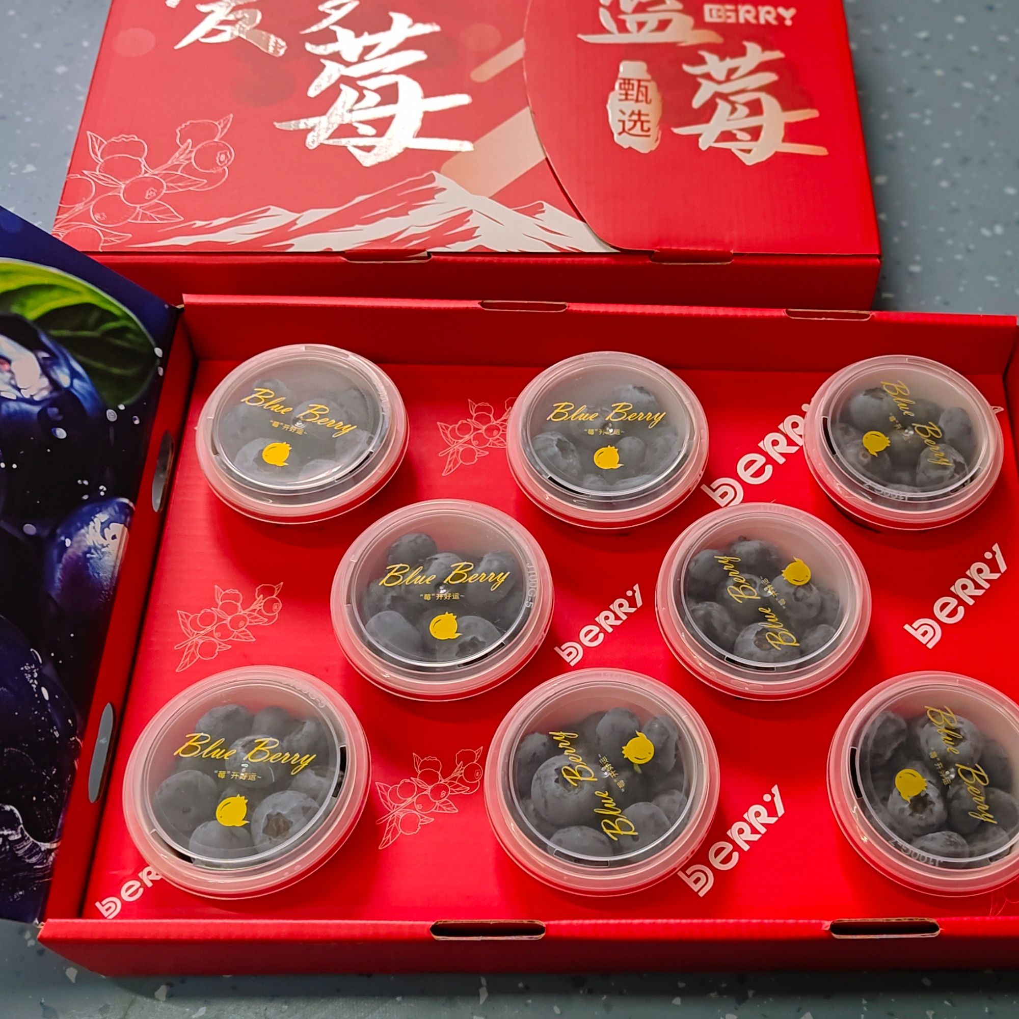 【云南花香蓝莓】精致礼盒杯装 礼遇心意 小懒杯蓝莓