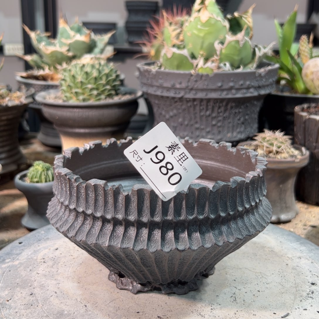 景德镇素里手工内口14.3高9