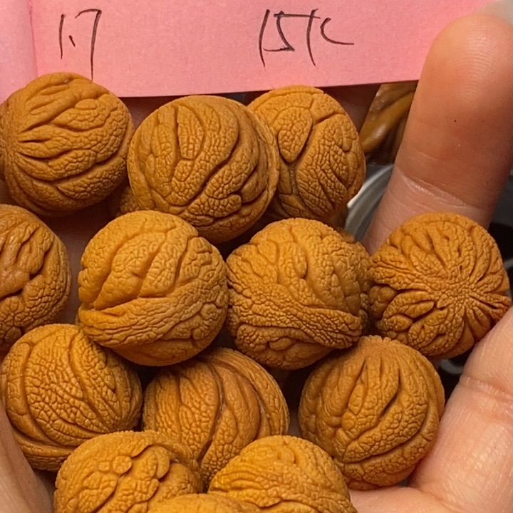 吊坠桃核秦岭龙纹桃核17尺寸