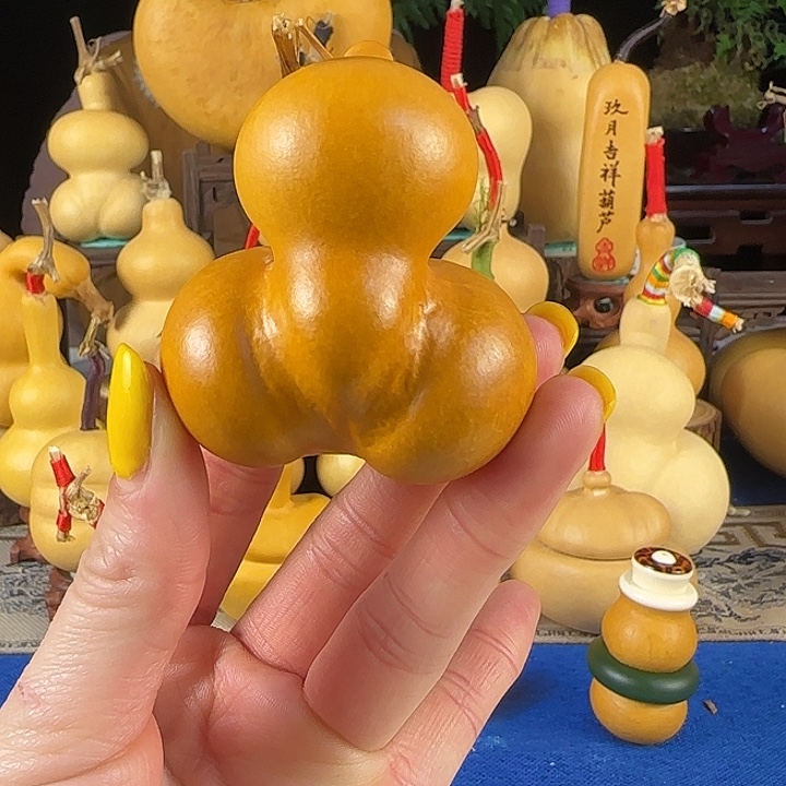 初***柒大叶紫檀（黑酸枝木类）