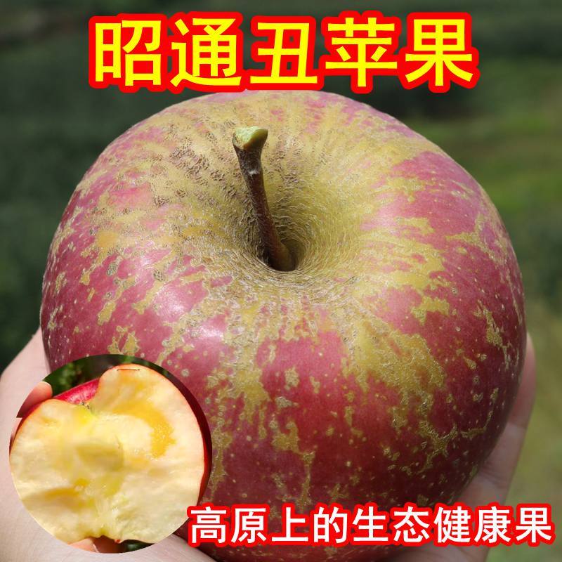 【昭通糖心丑苹果】脆甜爽口  甜在心里，天然生长