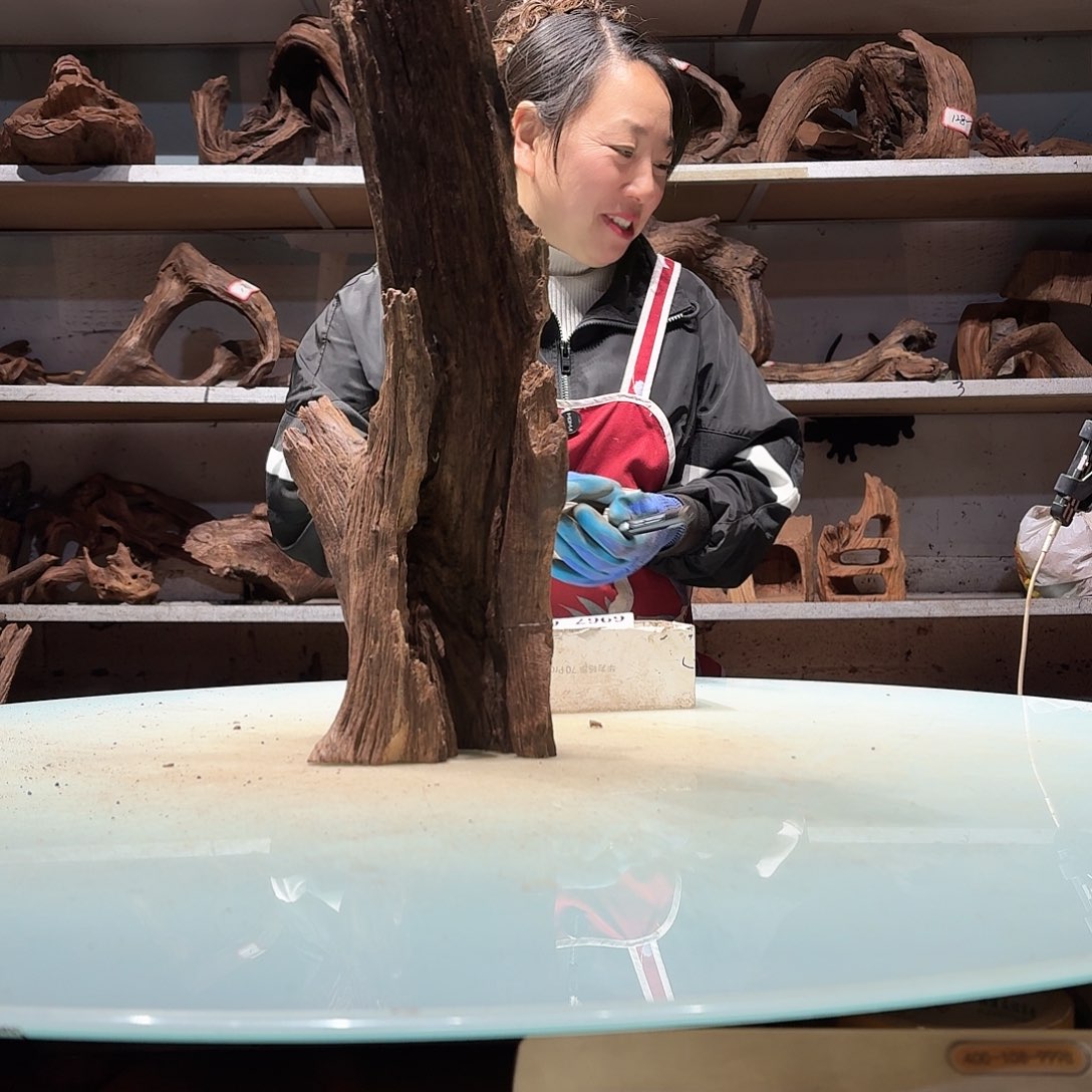 倍诸沉木不包损必褪色与**争6954