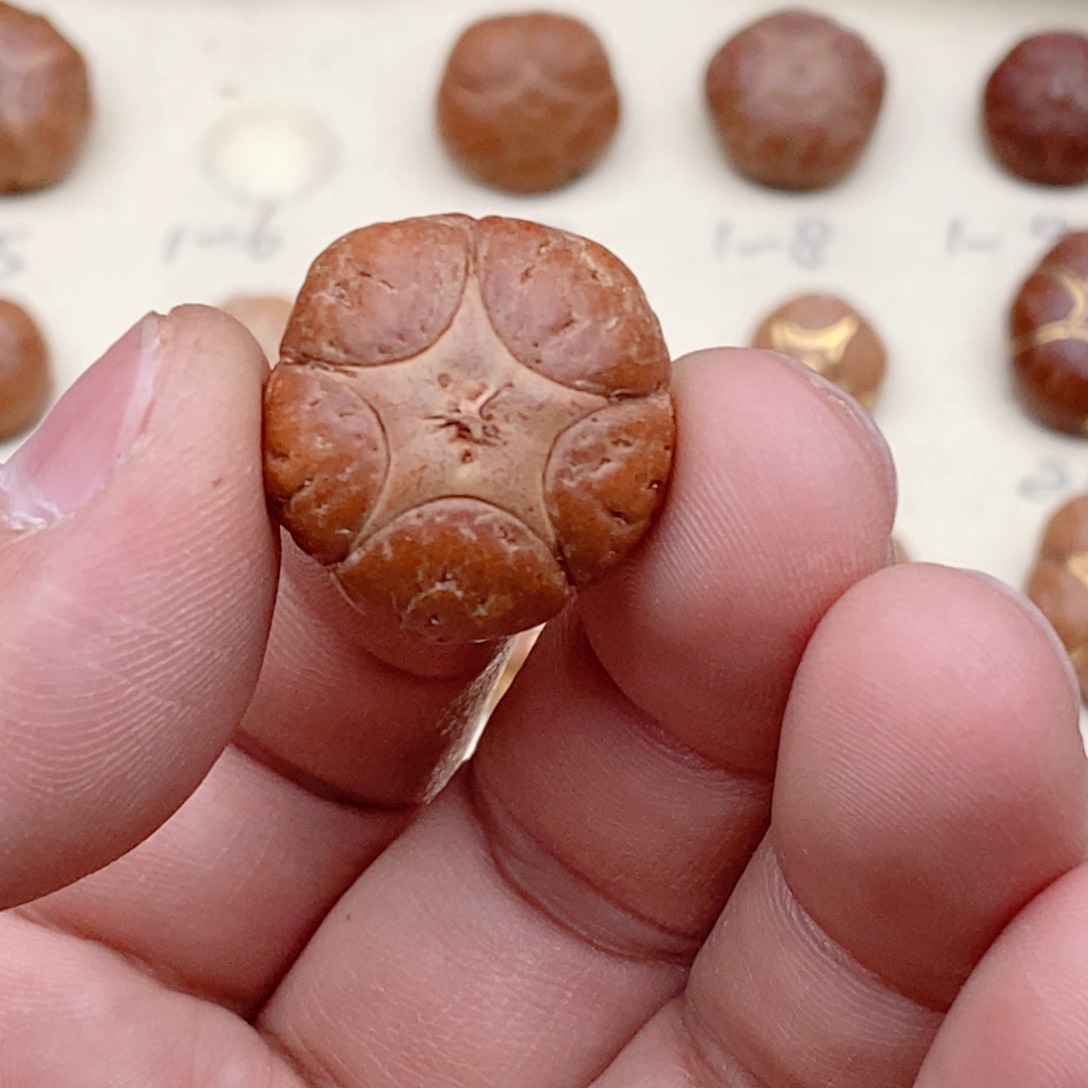 龙眼菩提吊坠核**下五星