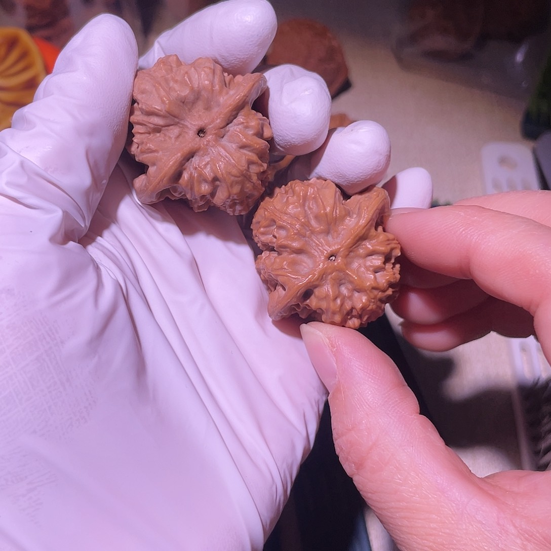 【闪购商品】37野狼