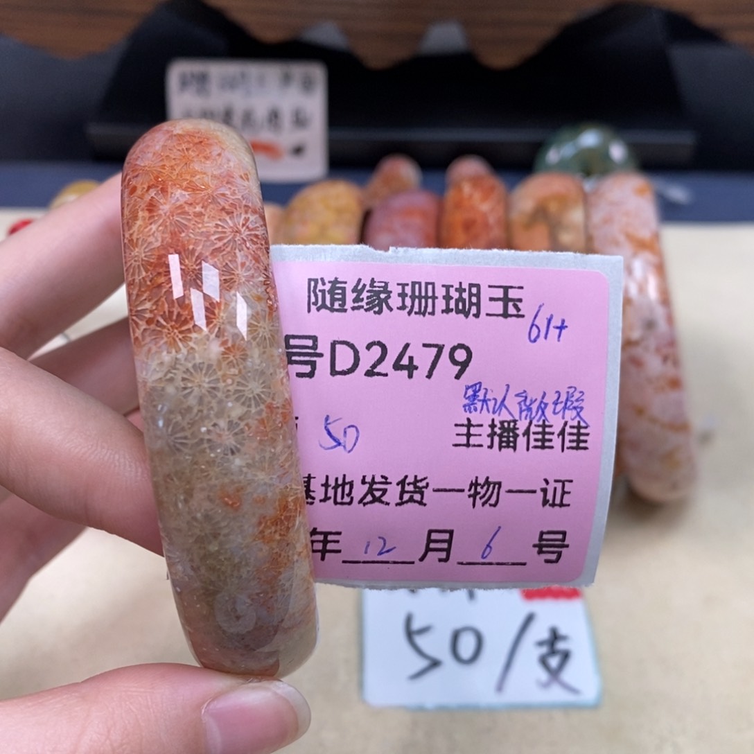 未镶嵌D2479硅化珊瑚（珊瑚玉）?***?
