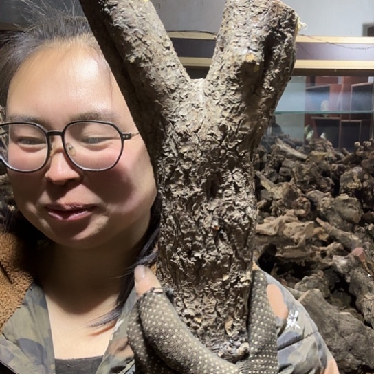 香榧木灰*支火琉璃的毛料baijian