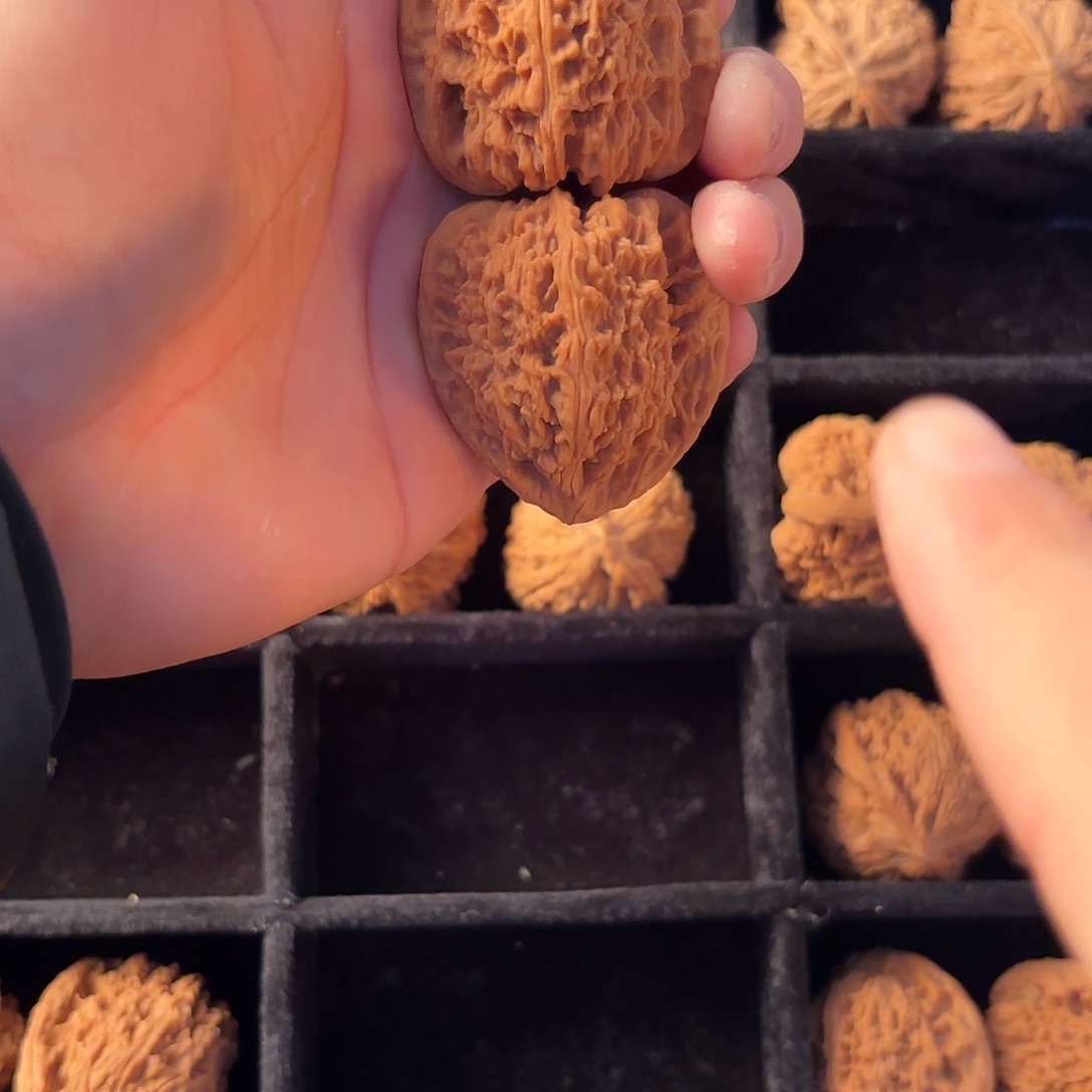 核桃手串/手链88888