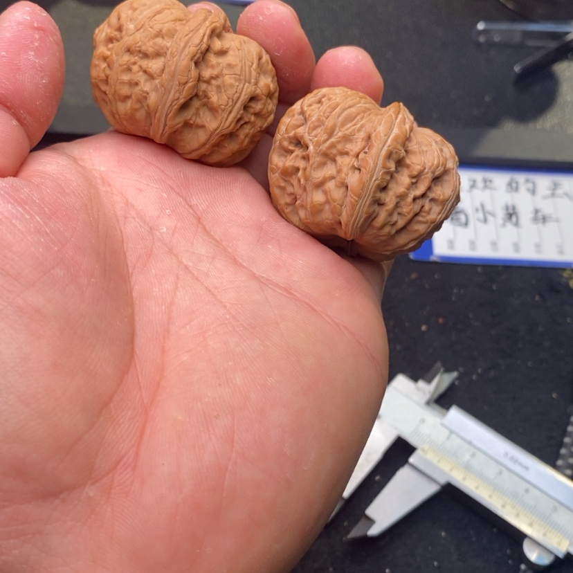 【闪购商品】文玩核桃把件96号45全品元宝