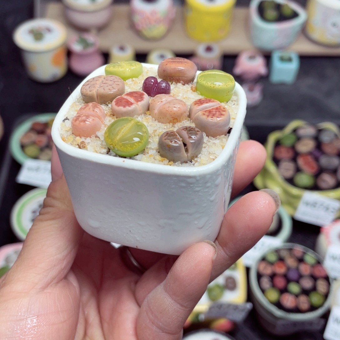 w8757 带盆土发货-零下地区拍保温箱