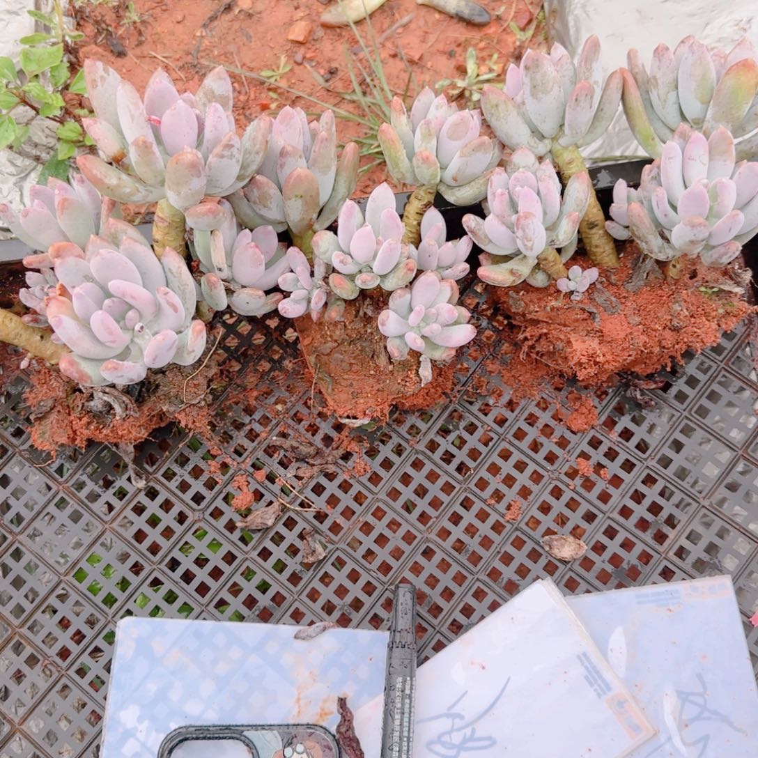 在一起就是要开心哦哈哈这