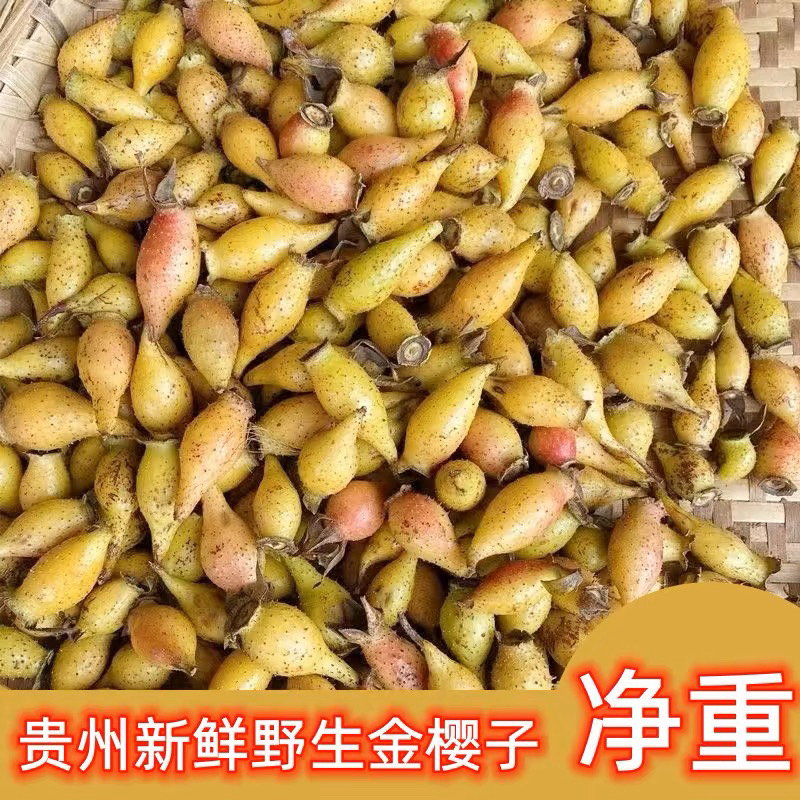 25年新鲜金樱子贵州新鲜野生金樱子糖罐子泡酒好料子