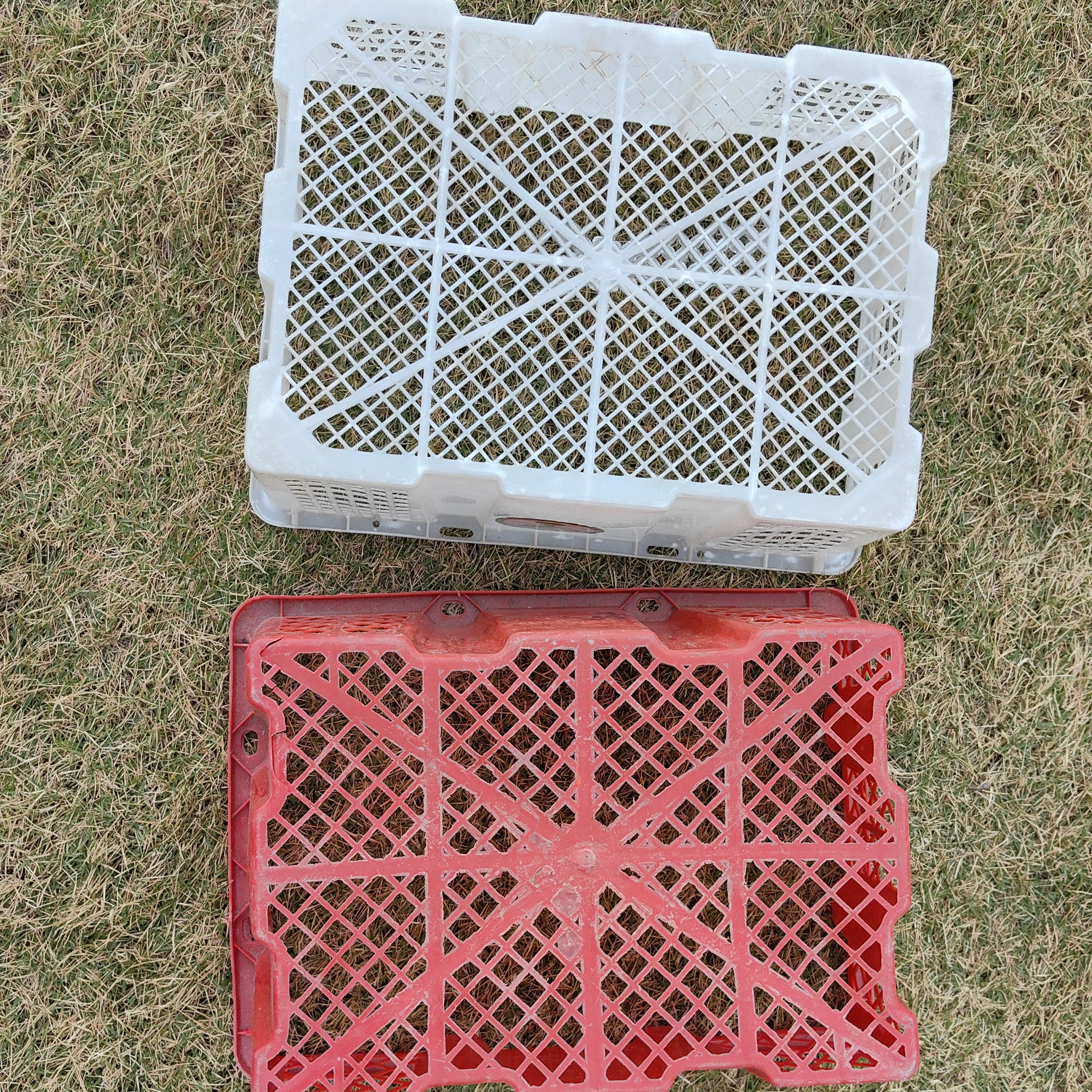 腾欣狮头出壳专用塑料筐白色筐镂空长方形1个装创意家用