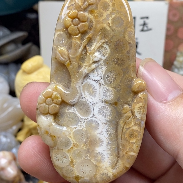 硅化珊瑚（珊瑚玉）未镶嵌颈饰