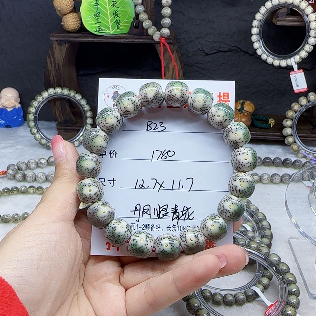 心月星月菩提一号B23