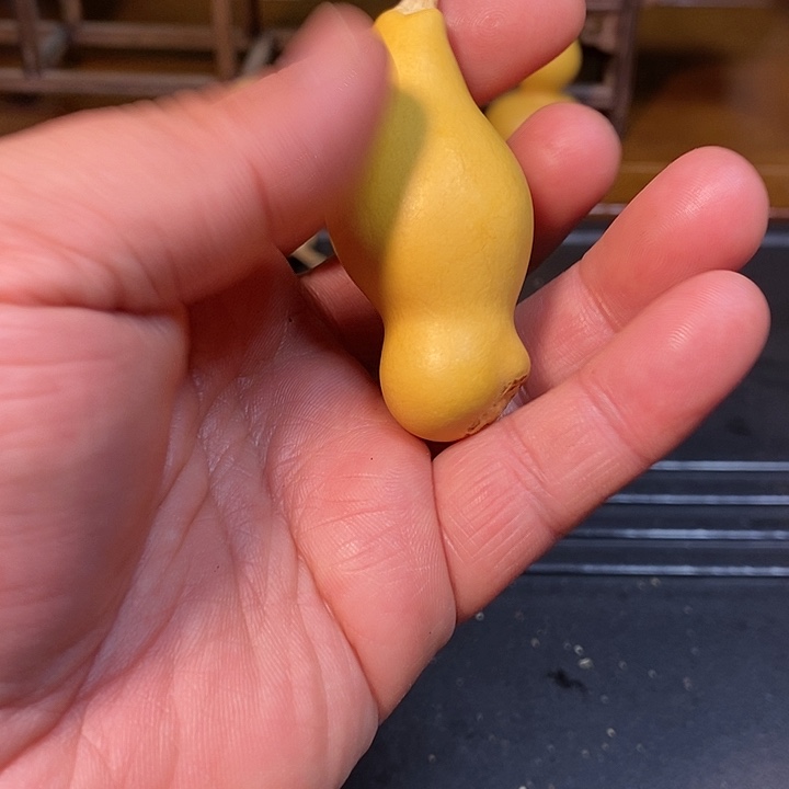 水*月精品葫芦手把葫芦115