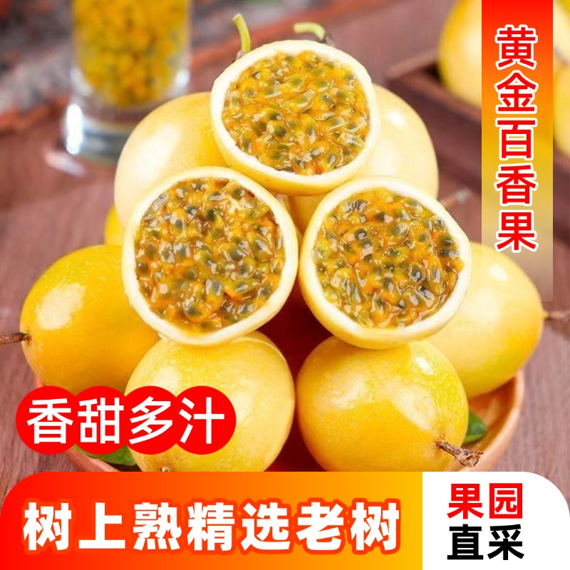 【果园直发】正宗钦蜜9号黄金百香果黄色原浆新鲜应季孕妇水果