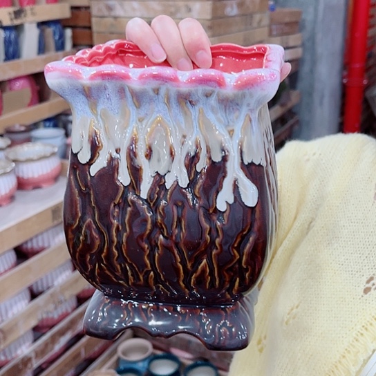 花盆凑单福利满10元发货！