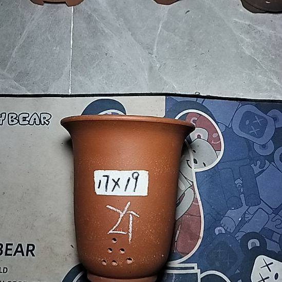 红泥小金钟两个花泥