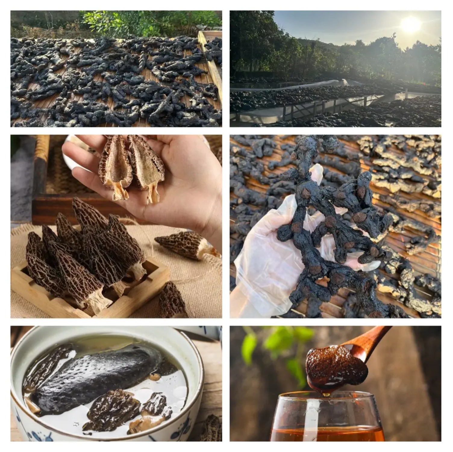 【高年份】少量26年 九蒸九晒九露 可直接吃可泡水可搭羊肚菌干货