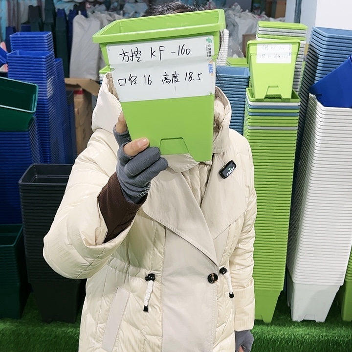 正品方盆口16高18果绿无托5只