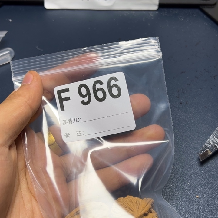 核桃摆件哈哈哈哈