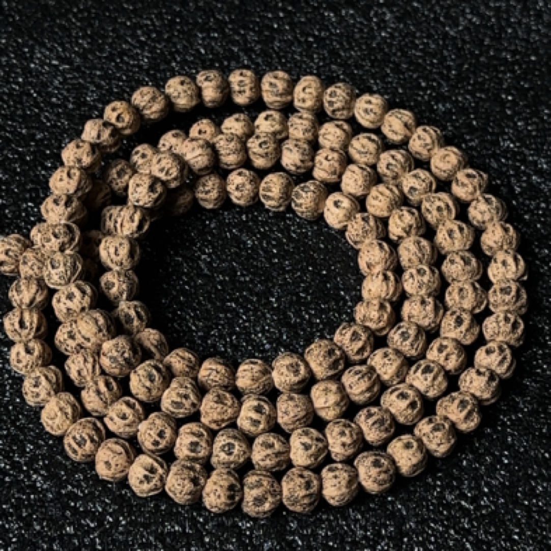 热振百香籽【对眼原装尸陀林】