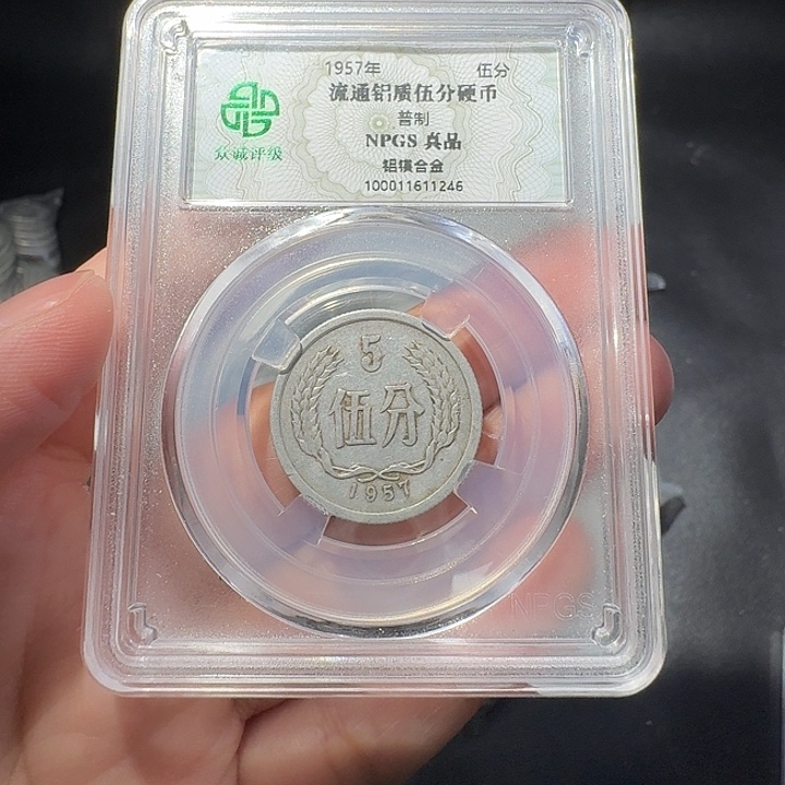 一二五一斤啊啊啊啊啊
