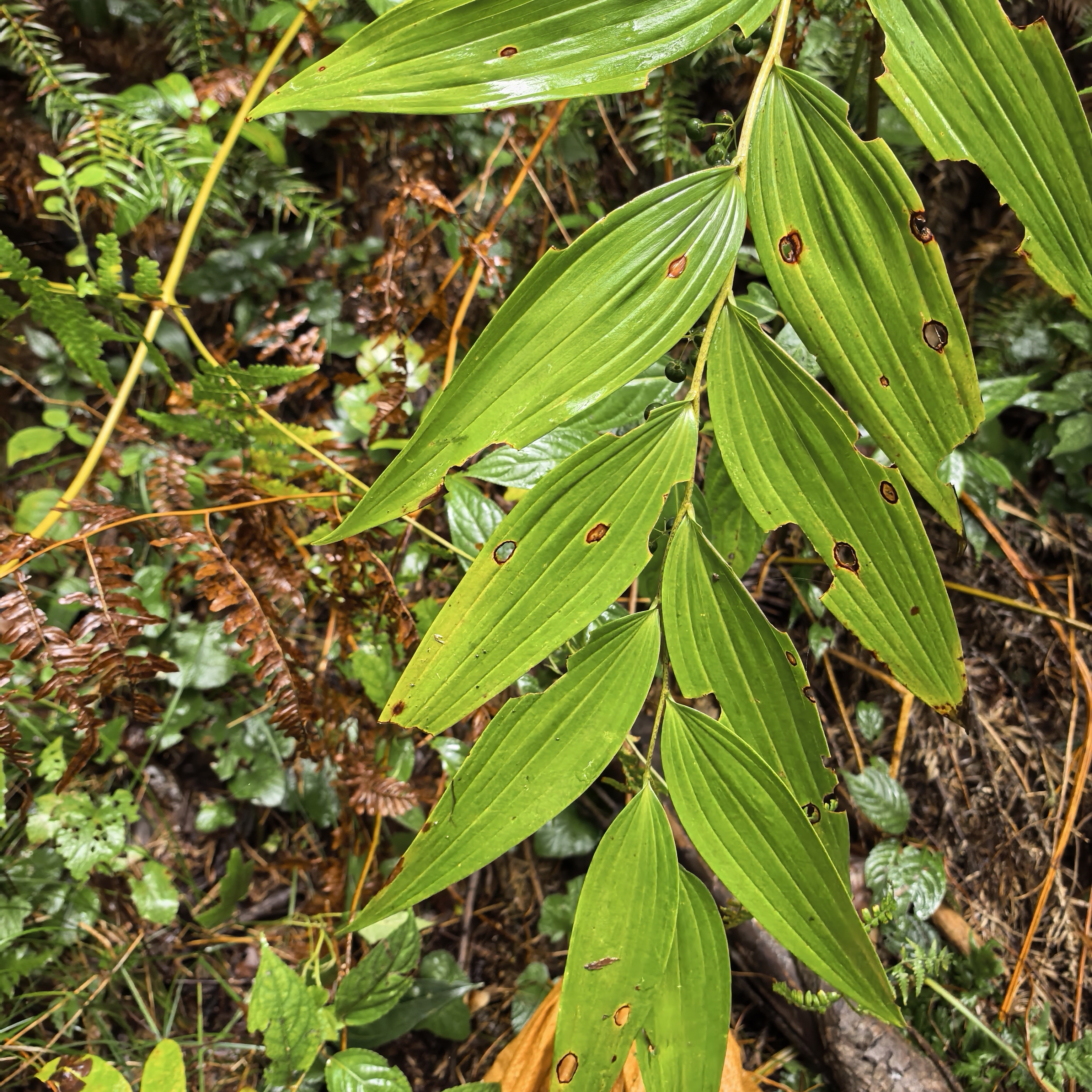 农产品山货一物一拍链接
