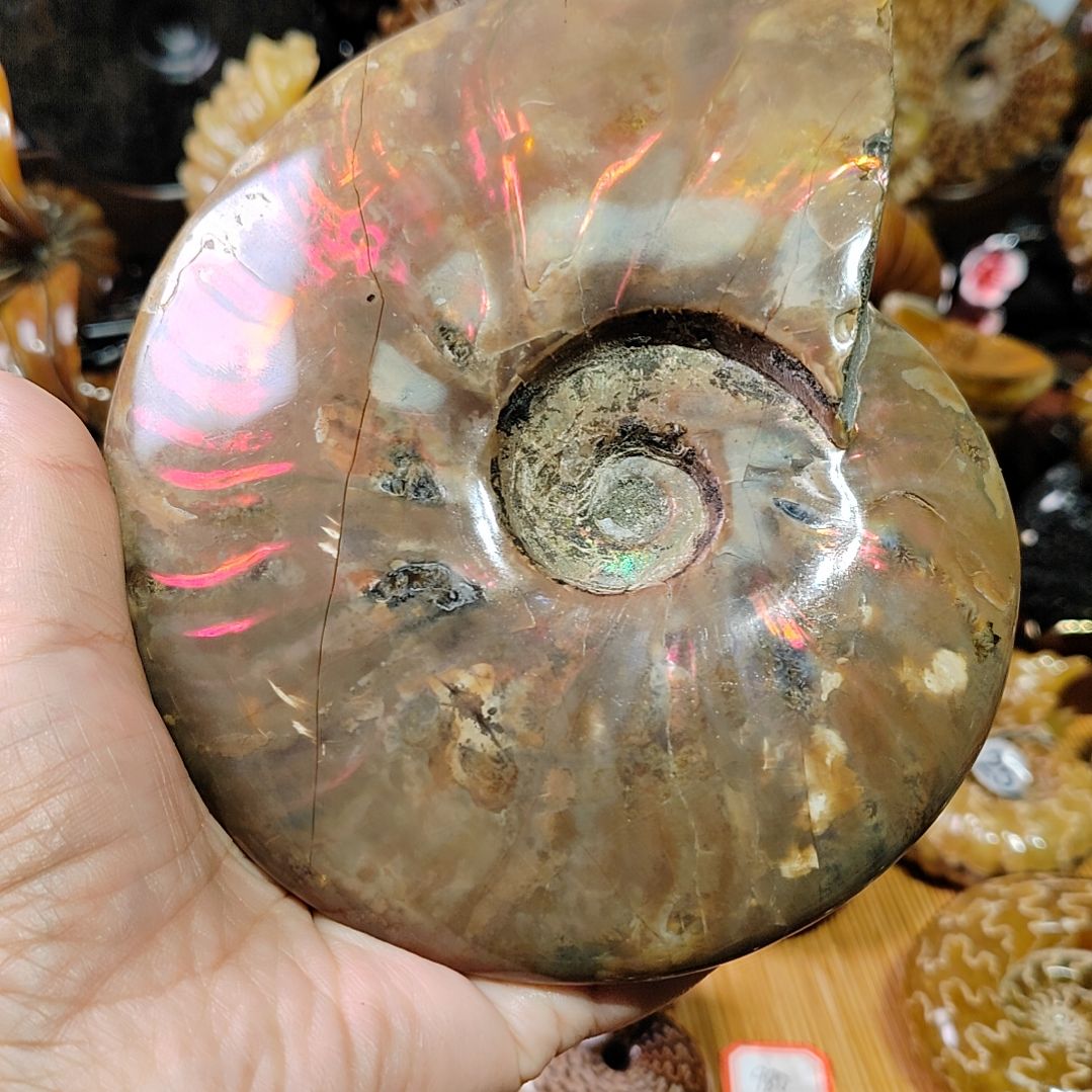 张***华有机玻璃123456789000