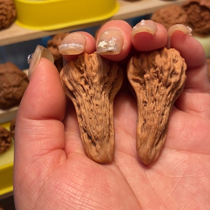 官方网站发布信息