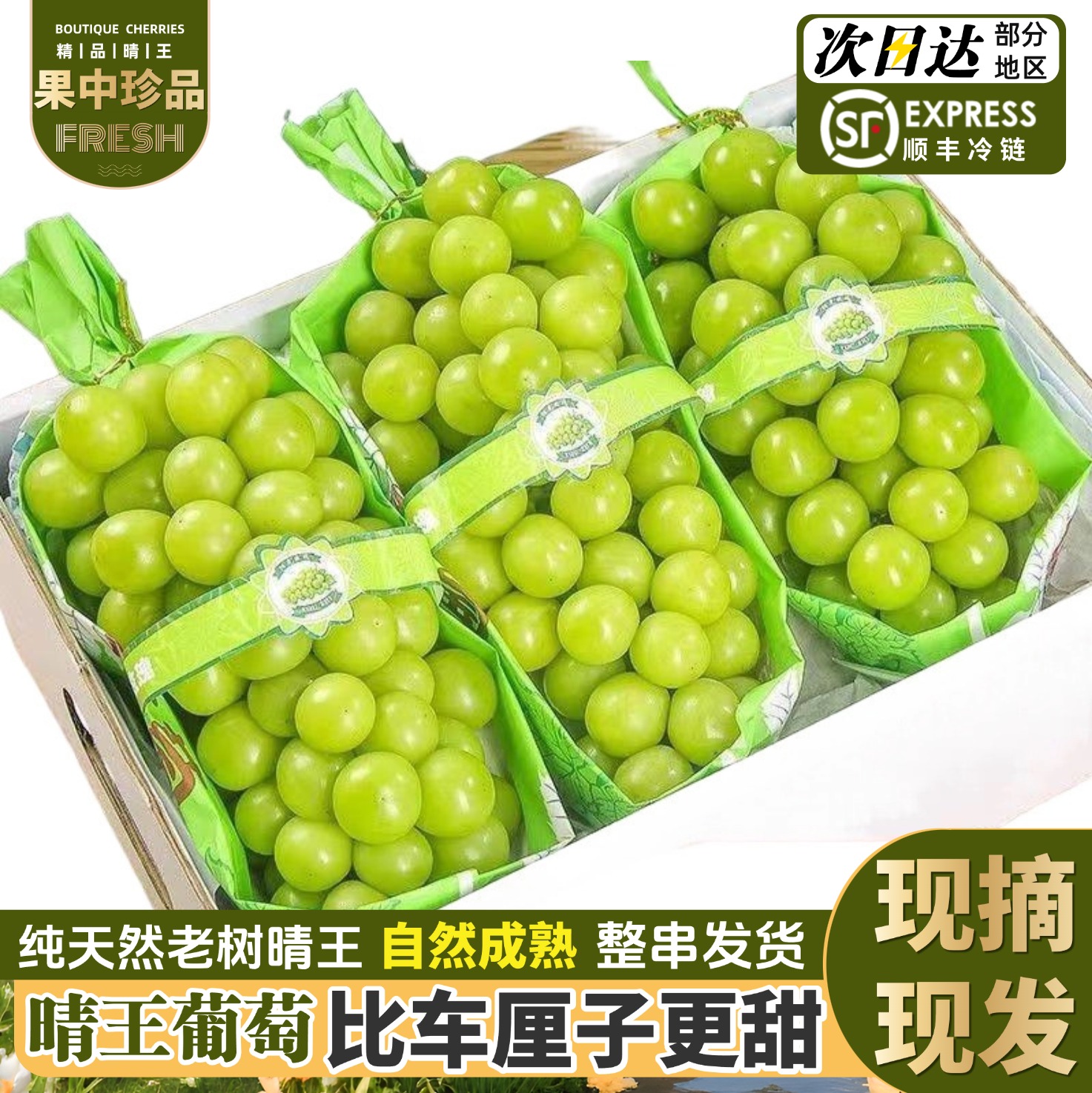 顺丰【5斤果王】次日达阳光玫瑰晴王葡萄新鲜美味头茬脆甜爽口Z