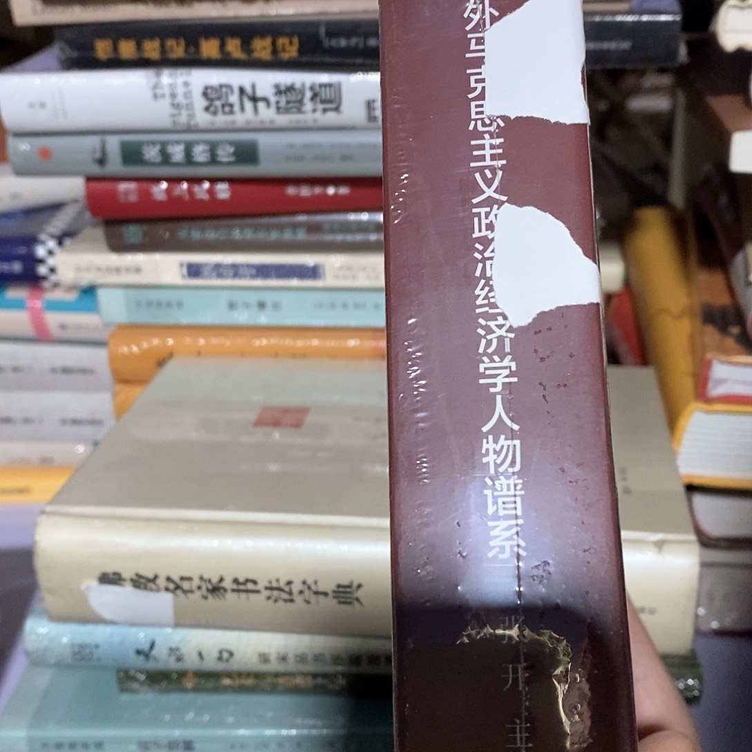 马主义人物谱系    