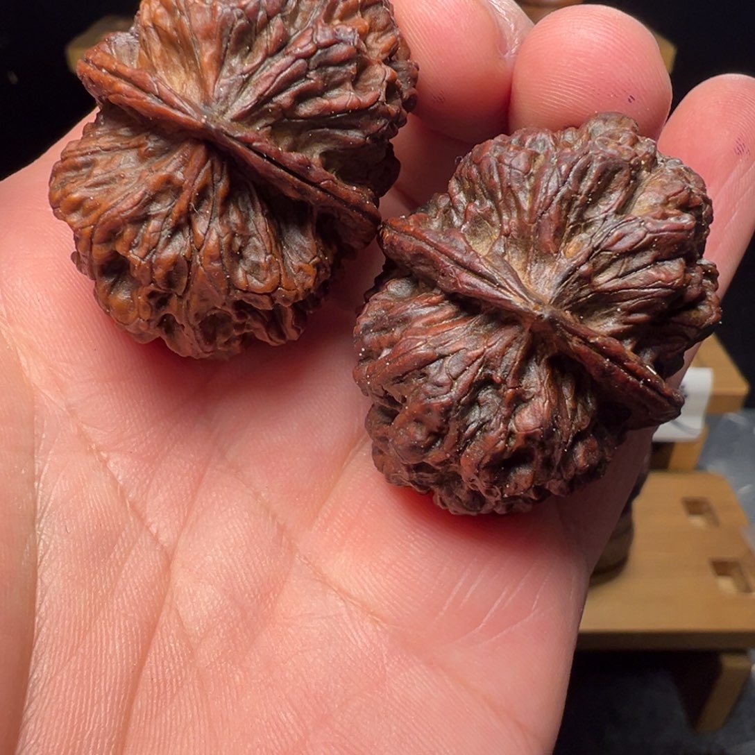 文玩核桃吊坠上古苍龙40mm