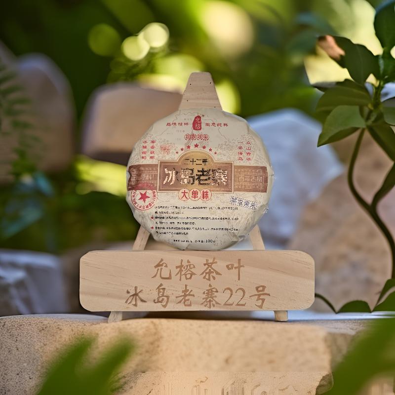 冰岛老寨2024年头春头采（挑树挑采 大单株）