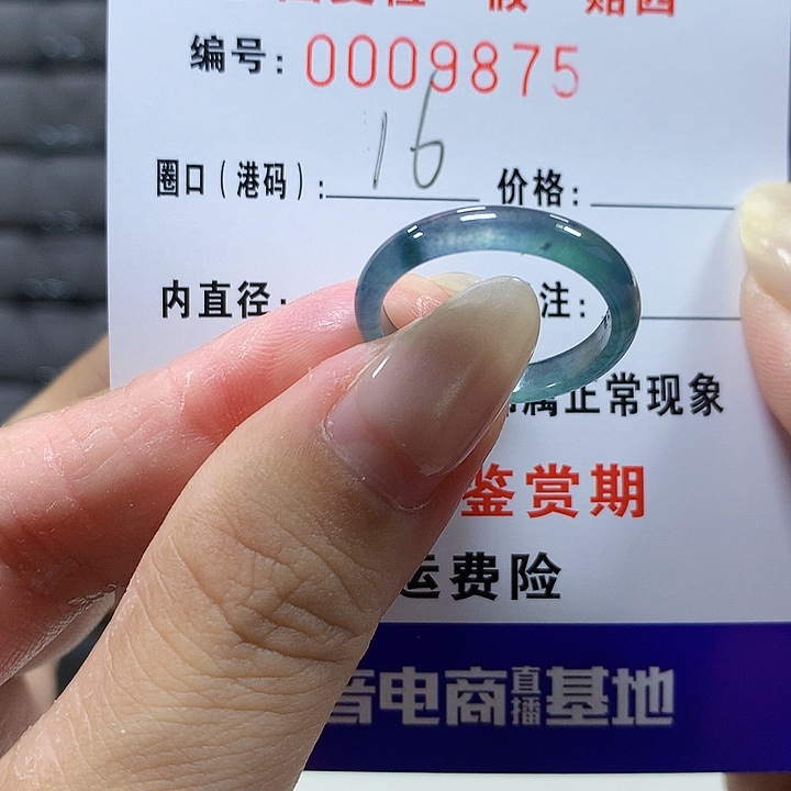 翡翠未镶嵌戒圈wt9875