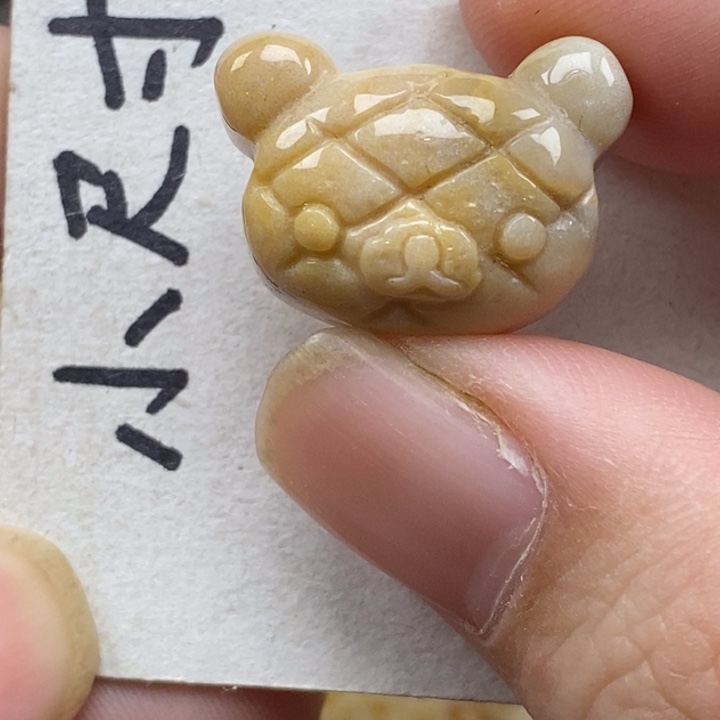 硅化珊瑚（珊瑚玉）未镶嵌颈饰