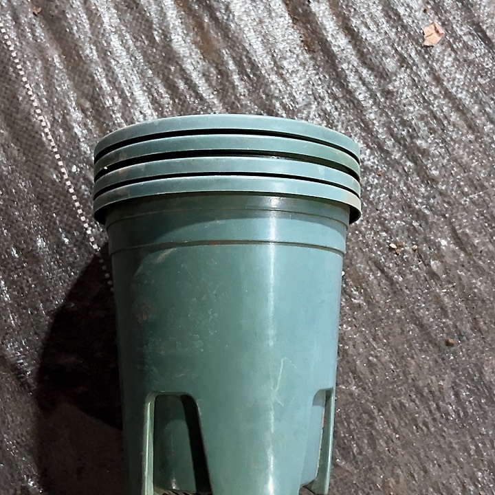 塑料口径15.5 高度16.5 绿加仑一组15个