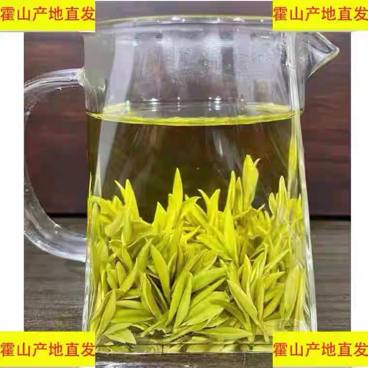 『霍山黄芽』25年新茶头采老树种明前A400