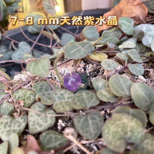 7-8毫米天然紫水晶单珠，单颗圆珠手工，水晶配珠百搭气质，靠谱店铺