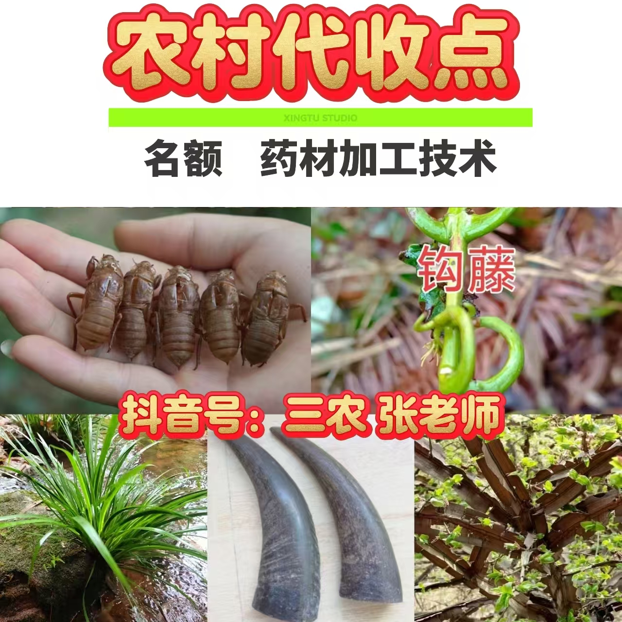 【共6套加工资料】农村代收点名额  山货采收加工方法工具书