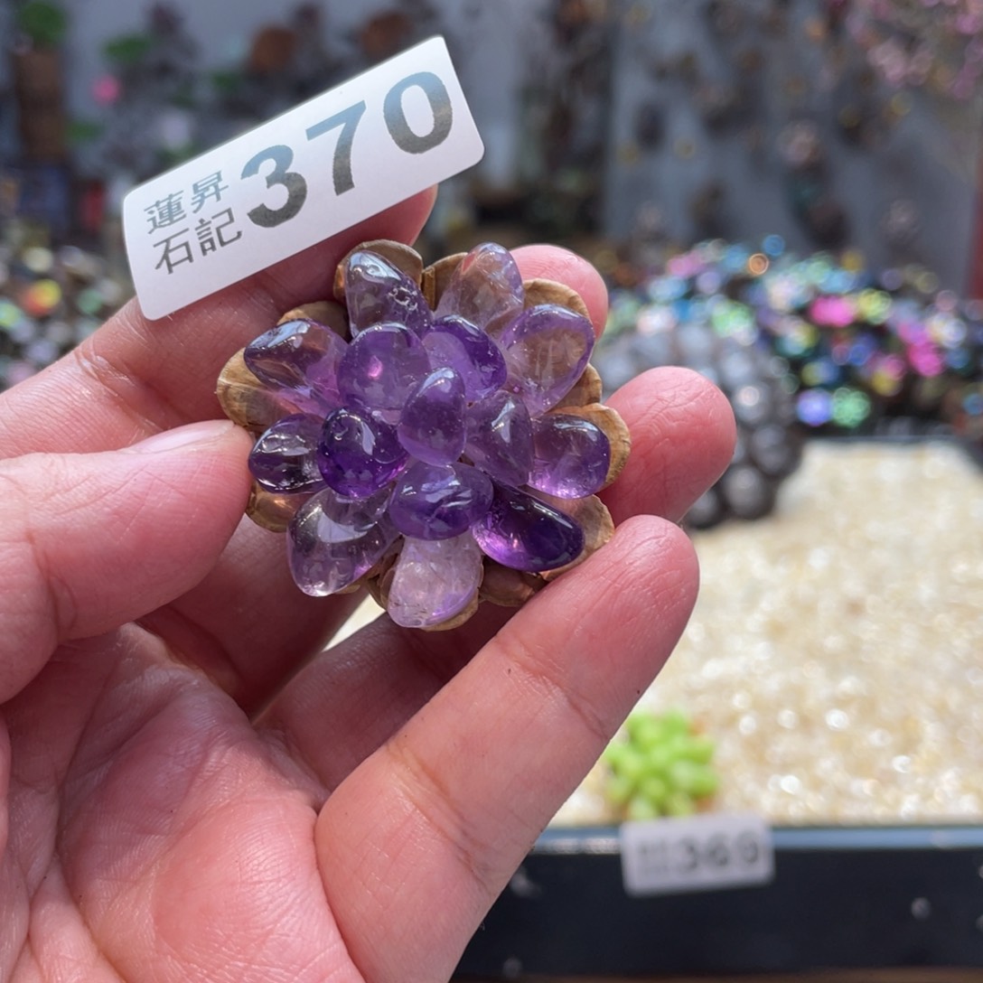 核桃木/黑胡桃（胡桃木）370