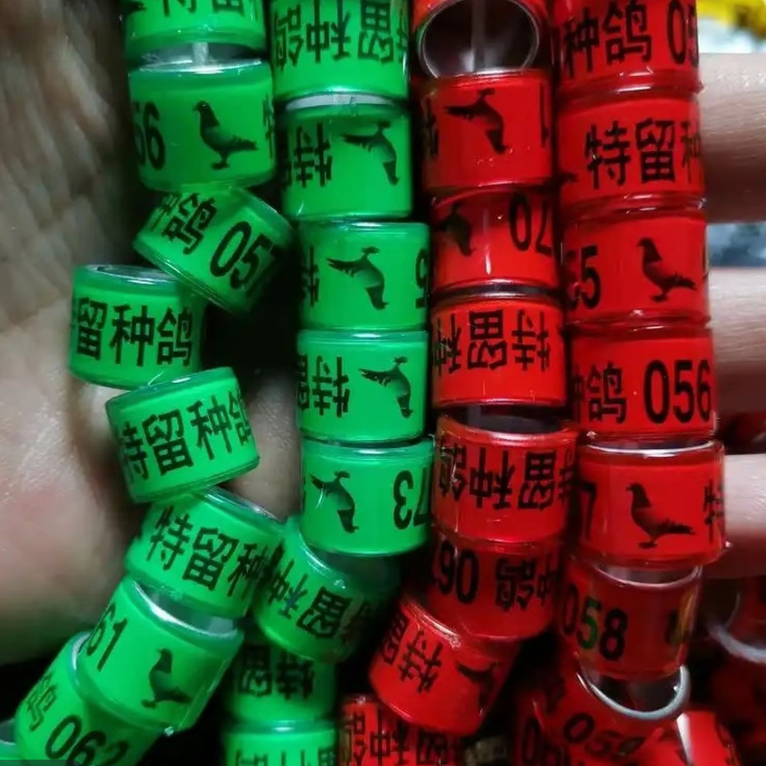 鸽子足环内径10毫米可佩戴的信鸽脚环鸟类适用